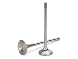 Supertech Audi/VW 2.0T FSI 16V Inconel Exhaust Valve- +1mm Oversize - Set of 8 - VWEVI-1004S-8