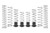 Eibach 24-26 Can-Am Maverick X3 MAX Pro-UTV Stage 2 Kit - Set of 8 - E85-212-018-02-22 Photo - Primary
