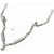 Photo - Unmounted